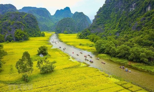 孕妇番茄吃多了好吗?孕妇吃番茄好不好？